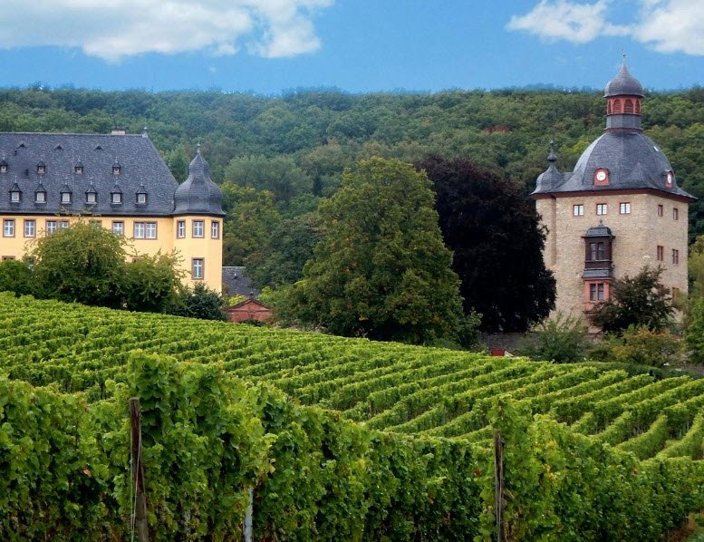 Weingut Schloss Vollrads, Oestrich-Winkel, Germany, Germany